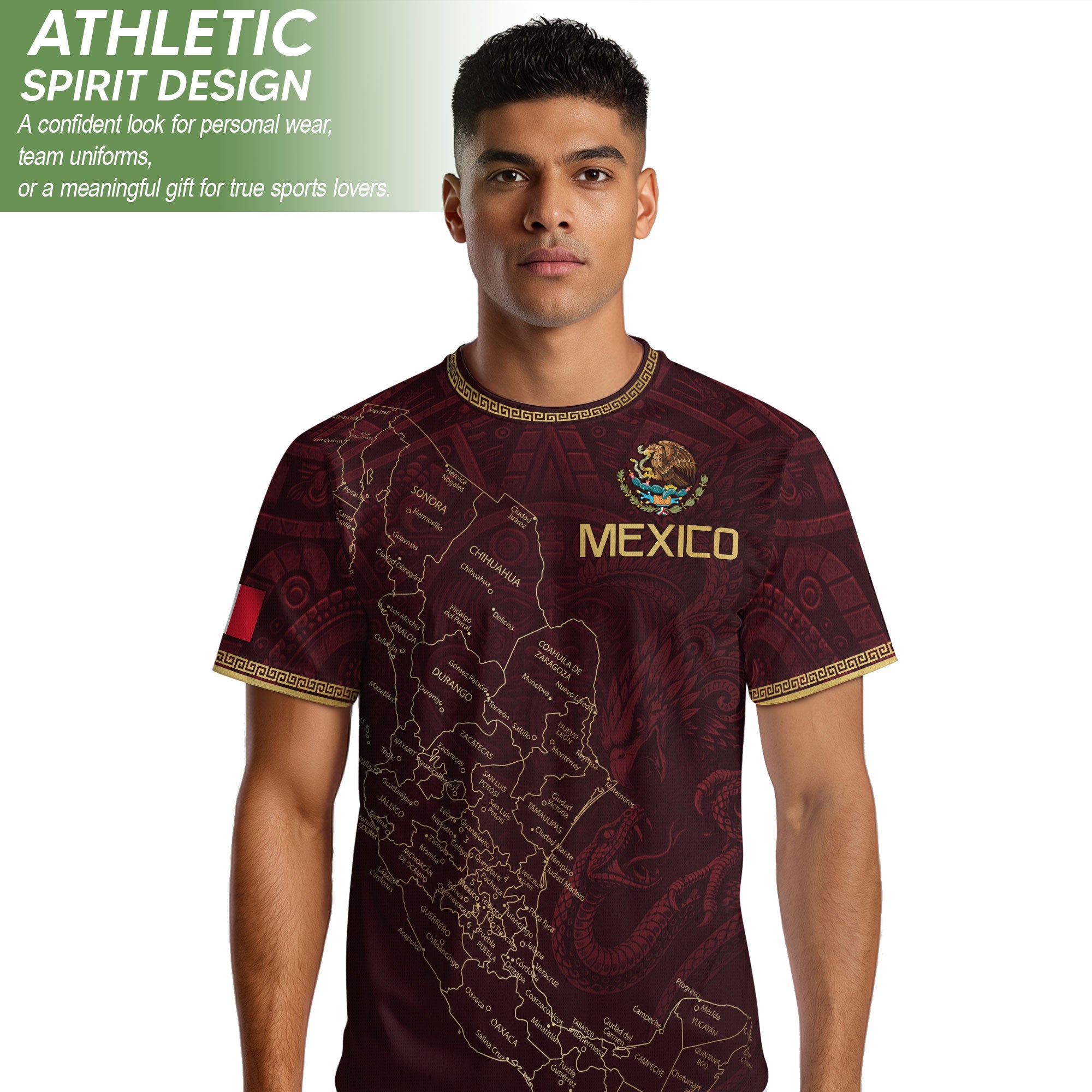 Men's Burgundy Mexico Map Eagle & Snake Graphic T-Shirt – Mexico Country Outline Print Tee